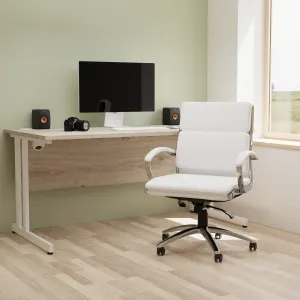 Classic Medium Back Cantilever Visitor Chair with Arms
