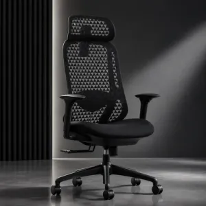 Prism Ergonomic Mesh Back Office Chair with Adjustable Arms