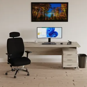 Domino High Back Black Ergonomic Posture Chair with Arms and Headrest
