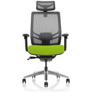 Ergo Click High Back Ergonomic Posture Office Chair with 5D Arms