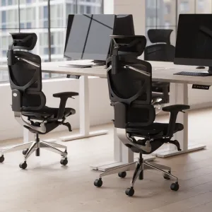 Ergo Click Plus High Back Ergonomic Posture Office Chair with Arms and Headrest