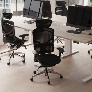 Ergo Click Plus High Back Ergonomic Posture Office Chair with Arms and Headrest