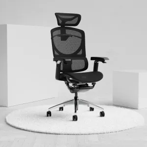 Ergo Click Plus High Back Ergonomic Posture Office Chair with Arms and Headrest