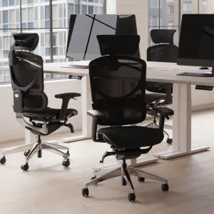 Ergo Click Plus High Back Ergonomic Posture Office Chair with Arms and Headrest