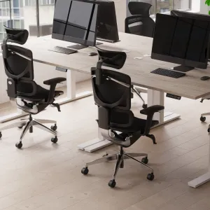 Ergo Click Plus High Back Ergonomic Posture Office Chair with Arms and Headrest