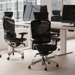 Ergo Click Plus High Back Ergonomic Posture Office Chair with Arms and Headrest