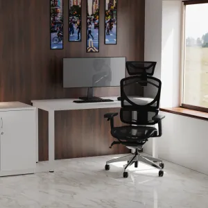 Ergo Click Plus High Back Ergonomic Posture Office Chair with Arms and Headrest