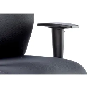 Onyx High Back Ergonomic Posture Office Chair with Adjustable Arms