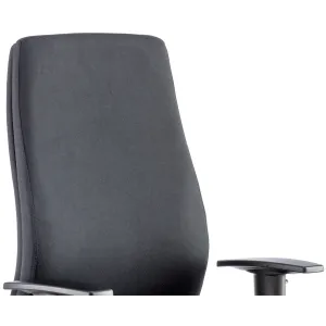 Onyx High Back Ergonomic Posture Office Chair with Adjustable Arms