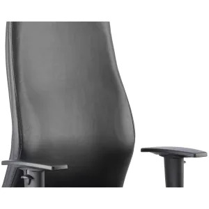 Onyx High Back Ergonomic Posture Office Chair with Adjustable Arms