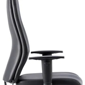 Onyx High Back Ergonomic Posture Office Chair with Adjustable Arms