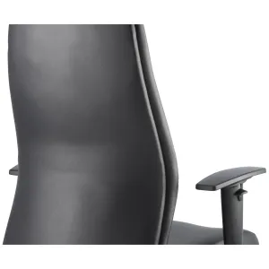 Onyx High Back Ergonomic Posture Office Chair with Adjustable Arms