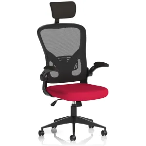 Ace Executive Mesh Chair With Folding Arms