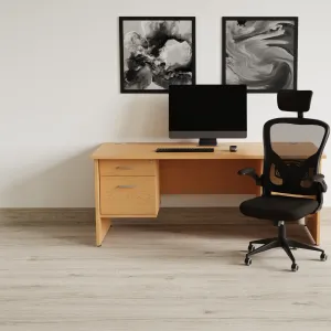 Ace Executive Mesh Chair With Folding Arms