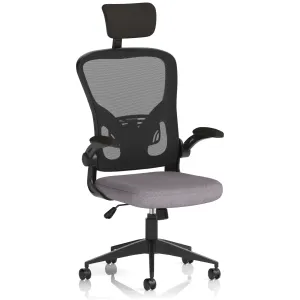 Ace High Back Mesh Executive Office Chair with Folding Arms
