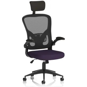 Ace High Back Mesh Executive Office Chair with Folding Arms