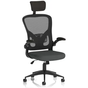 Ace High Back Mesh Executive Office Chair with Folding Arms