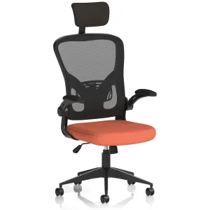Ace High Back Mesh Executive Office Chair with Folding Arms