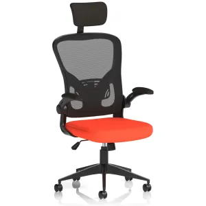 Ace High Back Mesh Executive Office Chair with Folding Arms