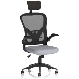 Ace High Back Mesh Executive Office Chair with Folding Arms