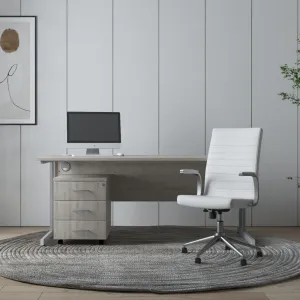 Ezra Medium Back Leather Executive Office Chair with Arms