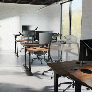 Lumo Executive Chair