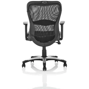 Victor II Mesh Back Executive Office Chair with Arms