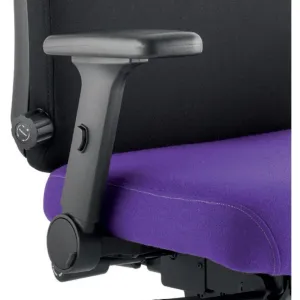 Height Adjustable & Folding Arms