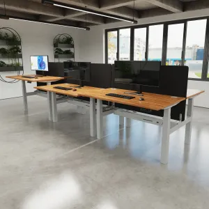 Air Back-to-Back Electric Height Adjustable Bench Desk