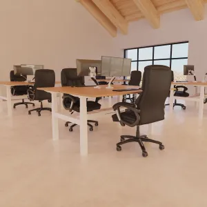 Air Back-to-Back Electric Height Adjustable Bench Desk