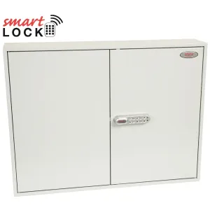 Phoenix Commercial Wall Mounted Key Cabinet for 42 to 600 Keys