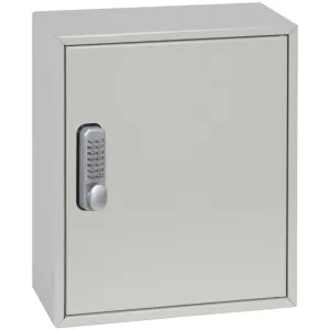 Phoenix Deep Plus & Padlock Key Cabinet with 24 to 100 Hooks