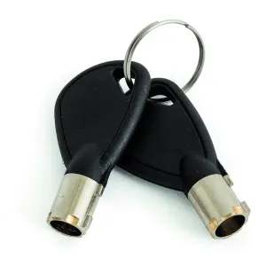 Phoenix Dione Hotel Laptop and Tablet Security Safe